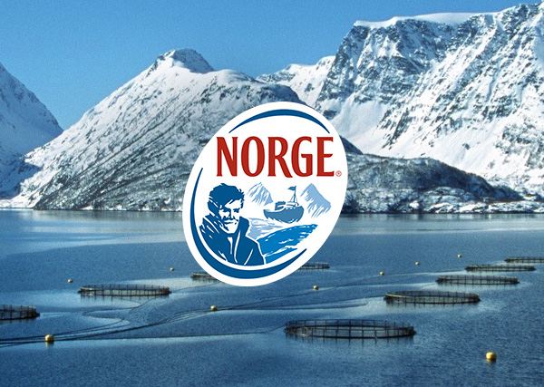 Norge - Saumon de Norvège